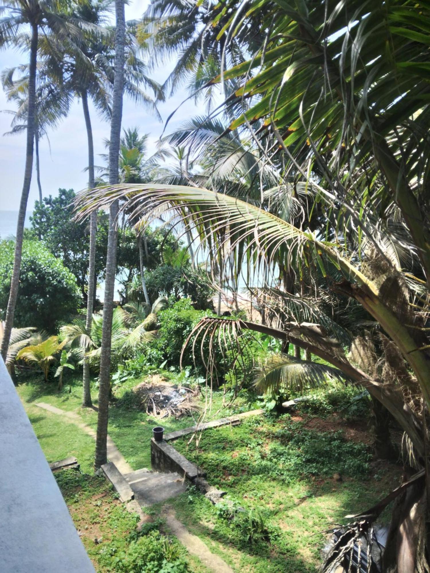 Sunray Rest - Beach View Homestay Mirissa Eksteriør billede