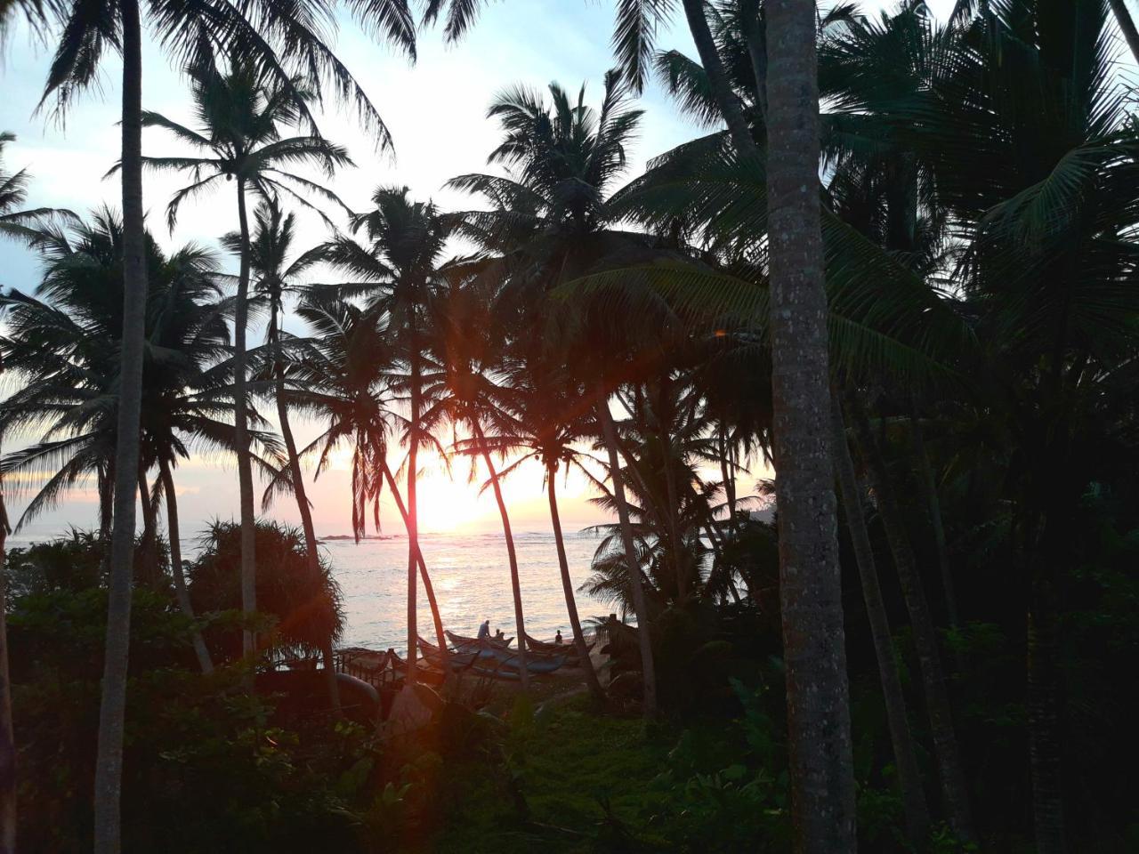 Sunray Rest - Beach View Homestay Mirissa Eksteriør billede